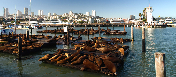A San Francisco waterfront